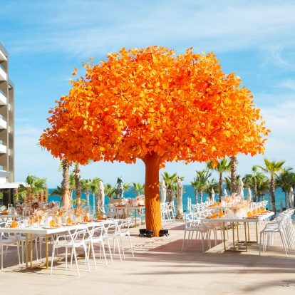 Luxury weddings in Los Cabos by Tafer Resorts